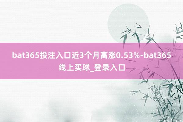 bat365投注入口近3个月高涨0.53%-bat365线上买球_登录入口