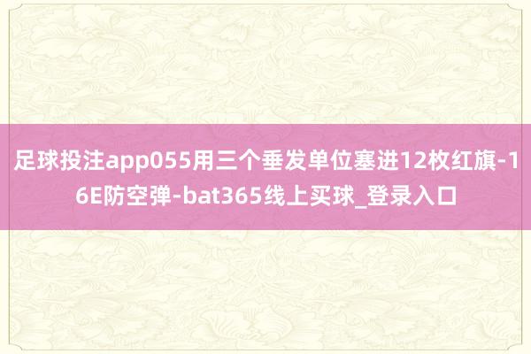 足球投注app055用三个垂发单位塞进12枚红旗-16E防空弹-bat365线上买球_登录入口