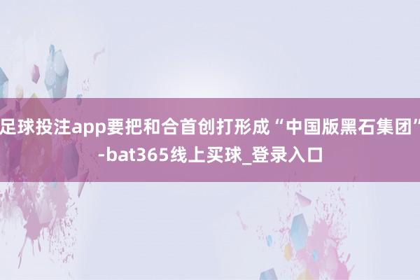 足球投注app要把和合首创打形成“中国版黑石集团”-bat365线上买球_登录入口
