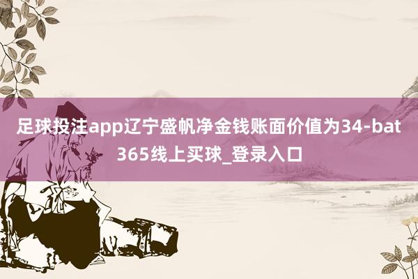 足球投注app辽宁盛帆净金钱账面价值为34-bat365线上买球_登录入口